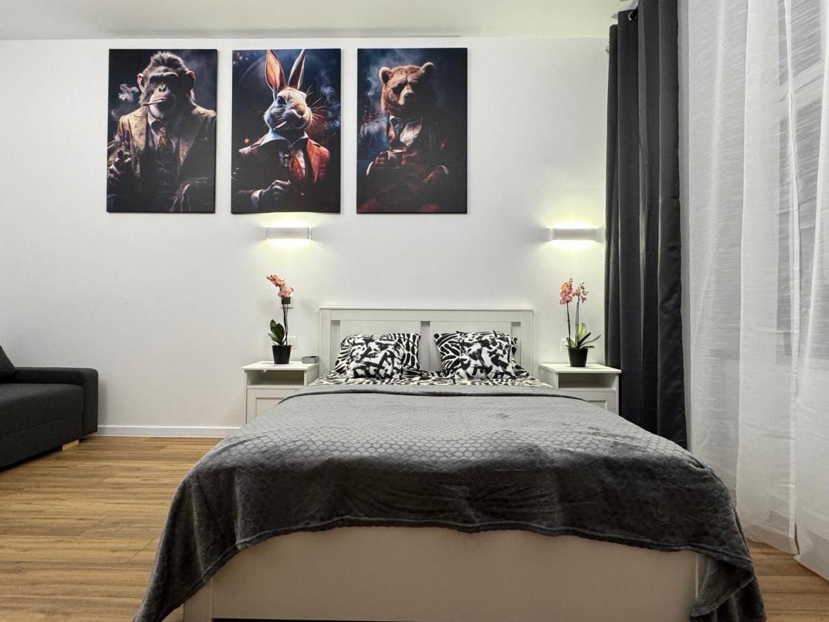 Chicago Apartment カトヴィツェ エクステリア 写真